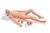 Medizinische Trainingspuppe