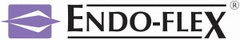 Endo-Flex logo