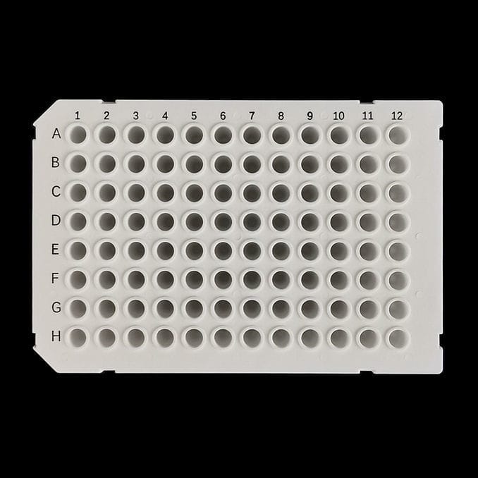 Mikroplatte für PCR PCR 9601W HS Servicebio Fluoreszenz 96 Well