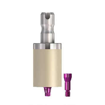 Implantat Abutment Titan Copepmst Bredent Medical Mit