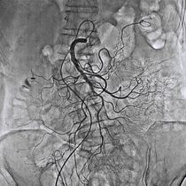 Diagnose-Software / 3D-Visualisierung /...