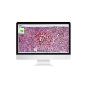 Bild-Analyse Software / Management / Visualisierung / Content-Sharing