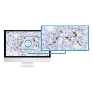 Bildanalyse Software-Modul / für Histopathologie-Labor / für zellulare Bildgebung