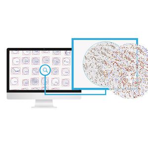 Bildanalyse Software-Modul / Viewer / Import / für Histopathologie-Labor