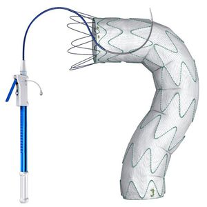 Thoraxaorta Stentgraft / Polyester