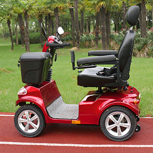 Elektrischer Scooter / 4 Räder / 2 Personen