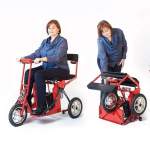 Elektrischer Scooter / 3-Rad / zusammenklappbar