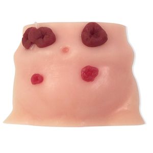 Patientensimulator für Stomabehandlung / für Fortbildungen / Brust
