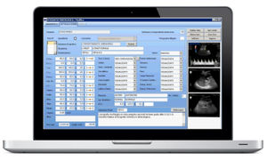 Software für Patientendatenverwaltung / Reporting / überwacht / Gynäkologie