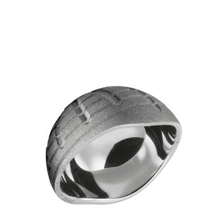 zementierte Acetabulum prothese