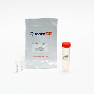 Enzyme Reagenzkit Perfecta Sybr Quantabio Antik Rper Farbstoff