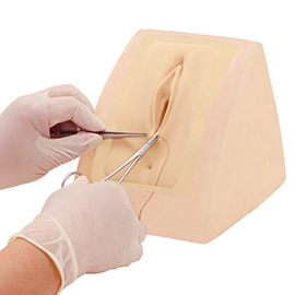 Simulator für Fortbildungen / für Perinealreparatur / Vagina