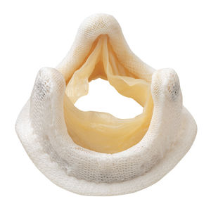 Biologischer Aortenklappenersatz / Aorta / Mitral