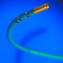 Kryoablation Katheter / für Herz