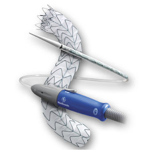 Thoraxaorta Stentgraft / Nitinol
