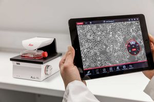 Labormikroskop / für Biowissenschaften / für Ausbildung / für Biologie