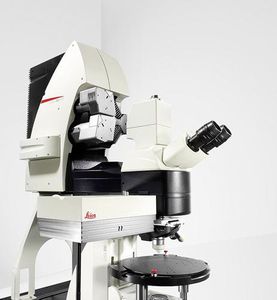 Labormikroskop / digital / Laser-Scanning-Multiphoton