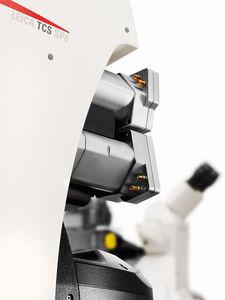 Labormikroskop / optisch / Konfokales Laser-Scanning