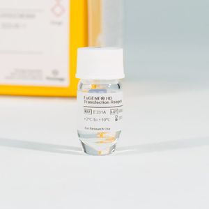 Laborreagentien für Forschungszwecke / für Molekular- und Zellbiologie / Zellen / für DNA