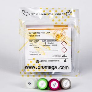 ADNDNA-Polymerase Laborreagentien / für PCR