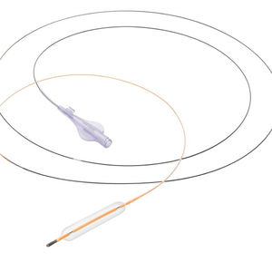 PTCA-Katheter / Koronar / Ballon