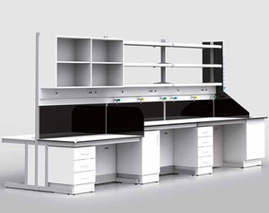 Arbeitsplatte für Labor / Waschbecken / modular