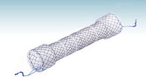 Speiseröhren-Stent