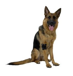 Gelenkschoner für Tiere / Ellbogenschutz