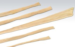 Bandersatz / Sehne des Musculus grazilis / lange Wadenbein-Sehne / Sehne des Semitendunosus / allograft