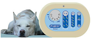 Elektrostimulator für Veterinärpraxis / für Hunde / handgehalten