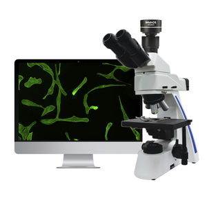 Fluoreszenzmikroskop / Labor / für Ausbildung / biologisch