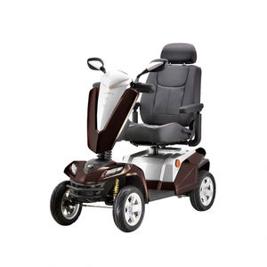 Elektrischer Scooter / 4 Räder