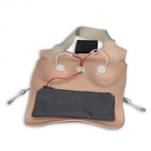 Simulator zur zentralen Venen Katheterisierung / Brust