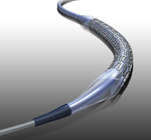 Nierenarterie-Stent / Kobaltchrom