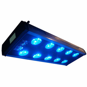 Phototherapielampe für Säuglinge / auf Rollen / Blaue LED