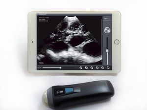 Tierärztliches Ultraschallsystem / Handgerät / multifunktional