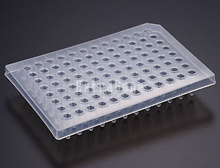 Mikroplatte für PCR P 096 PF ExtraGene Inc 96 Well