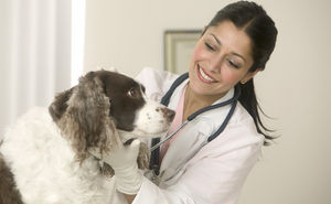 Veterinärmedizin