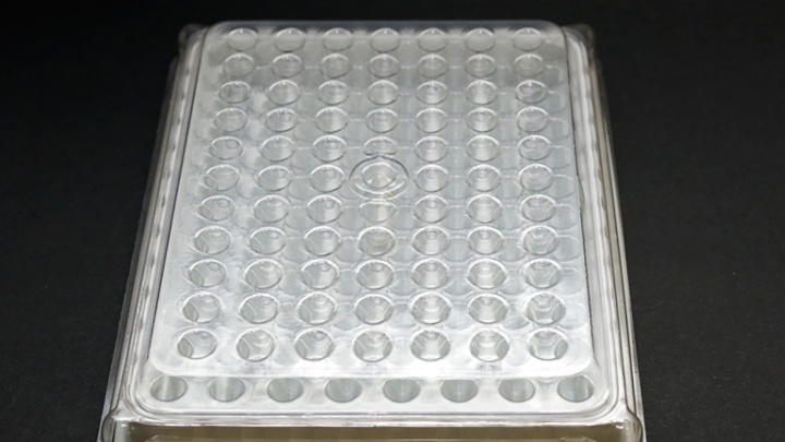 Betaplast Photo 2