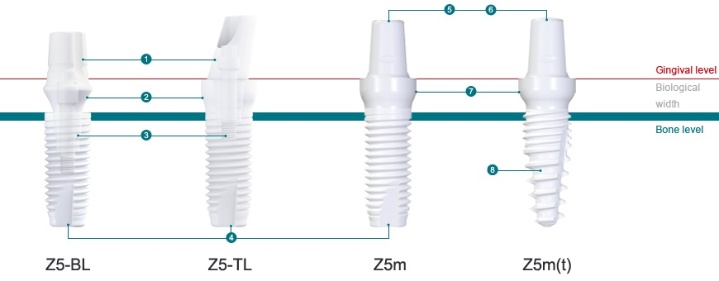 Z-Systems AG   Photo 4