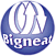 Bigneat