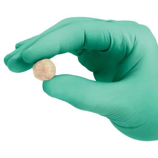 AllograftKnochenersatzmaterial SteriFuse® Bone Bank Allografts