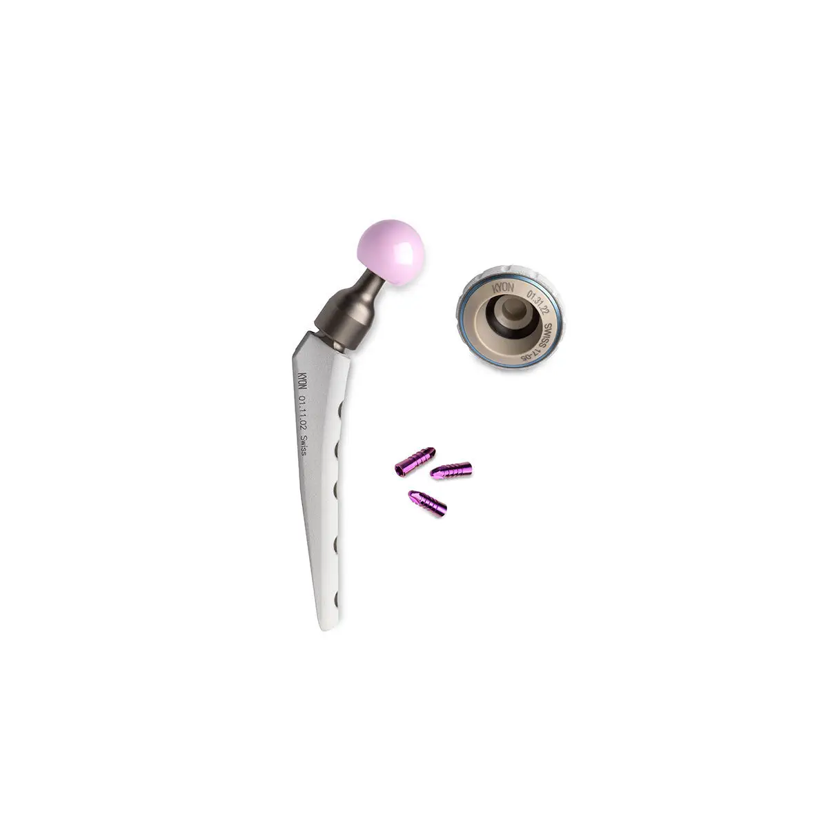 Zementfreie tierrztliche Hftprothese - Zurich THR - KYON - fr  Hften-Gesamtarthroplastie / fr Hunde