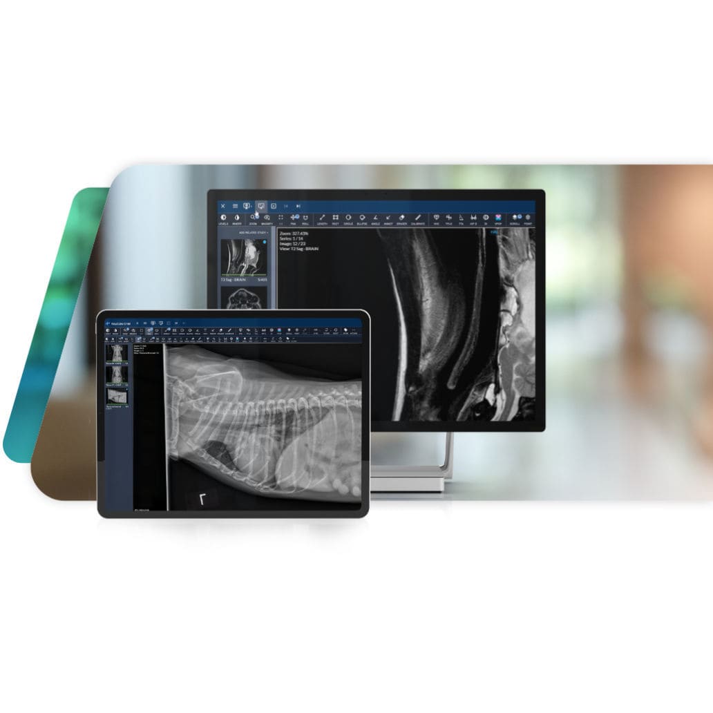 PACS für Veterinärmedizin KEYSTONE OMNI Asteris, Inc.