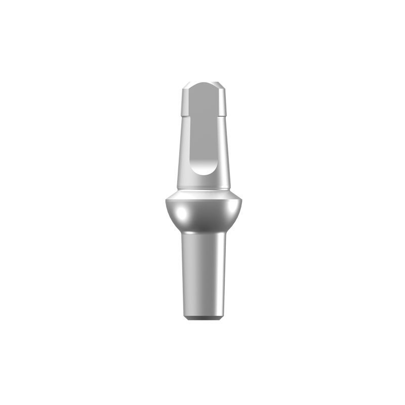 Implantat Abutment Titan S Shorter Implant Mit Innenverbindung Gerade Gewinkelt