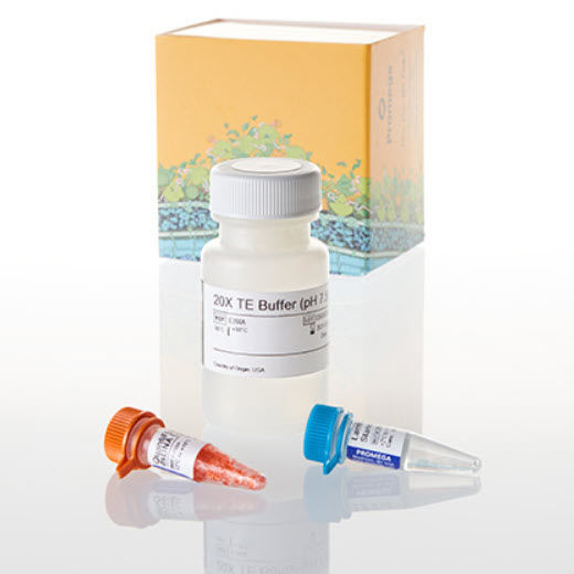 Reagenz / als Lösung QuantiFluor® Promega France Farbstoff / für