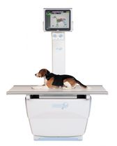 Veterinär-Röntgensystem / digital