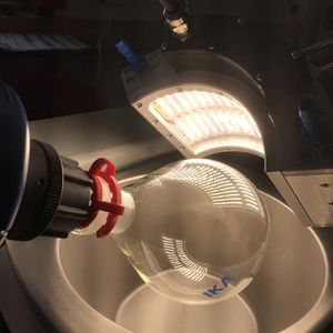 Labor-Photobioreakor