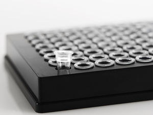 Mikroplatte für PCR 1