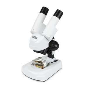 optisches Stereomikroskop 1